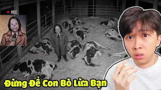 ĐỪNG ĐỂ CON BÒ NÀY LỪA BẠN !! Vinh Lắp Camera ở Chuồng Bò Phát Hiện Chuyện Đáng Sợ ?? | The Cattle