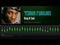 Download Lagu Terror Fabulous - Drop It Cool (Real Rock Riddim) [HD]