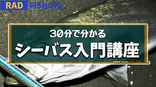 【シーバス入門講座】初心者の疑問を釣りプロが徹底解説！（実釣映像多数）