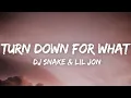 Download Lagu DJ Snake, Lil Jon - Turn Down for What (Lyrics)