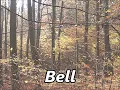 BELL as a Family Name Meaning and Origin