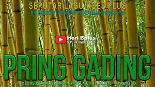 Download PRING GADING KOES BERSAUDARA COVER BY BPLUS BAND MP3