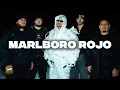Download Lagu Marlboro Rojo - Peso Pluma Fuerza Regida Neton Vega Tito Double P Oscar Maydon