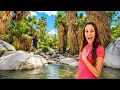 Palm Springs Is Absolutely Beautiful First Impressions