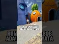 Lagu Rumah spongebob di dunia nyata 😱