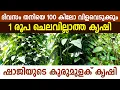Download Lagu ആരെയും ആശ്രയിക്കാതുള്ള ഷാജിയുടെ കുരുമുളക് കൃഷി