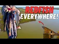This South Texas Marsh is PACKED with Redfish - Unreal Fishing Action