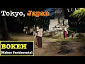 Download Lagu [BOKEH]Japan Walk - 500 Wind chimes at Ikegami Honmonji Temple in Tokyo, Friday night | SONY 55mm
