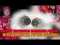 Download Lagu 🔴KEDASYATAN MUSTIKA SULAIMAN ORANG ORANG BEREBUTAN INGIN MEMILIKI ||gushasyimasroriterbaru