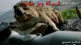 فرسكة وبر 