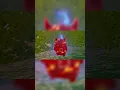 HIDE SEEK BUT EVERYONE IS SPRITES Full Linked pt 2