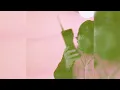 Phone Sick - Tommy Newport