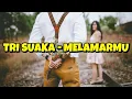 MELAMARMU - COVER TRI SUAKA ( LIRIK )