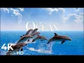 Download Lagu The Ocean 4K - Relaxation Film - Peaceful Relaxing Music - 4k Video UltraHD