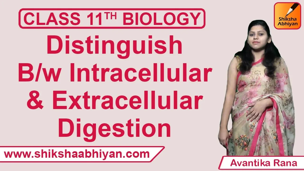 Q4 Distinguish between intracellular & extracellular digestion | CBSE Class 11 Biology