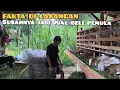Lagu Argo farm pedagang kambing anyaran sudah ngalami bonyok \