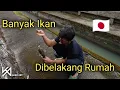 Download Lagu PUASA PERTAMA DI PLOSOK DESA JEPANG || MANCING DARI DALAM RUMAH
