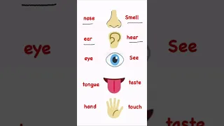 الحواس الخمس في ٦٠ ثانية              انجليزي                   تعلم دندنها