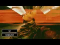 Catching Flies - GLY