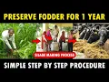 Download Lagu Proses Pembuatan Silase | Cara Pembuatan Silase untuk Sapi/Kambing | Metode Pembuatan Pakan Ternak