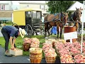 Belleville Sale with Good Day PA
