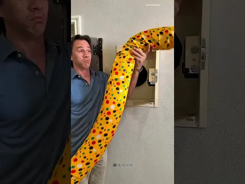 The Secret Door Surprise 🤣#funny #funnyvideo