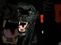 Download Lagu Black Tiger New Ringtone out Now  Please Subscribe 👇