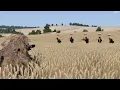 Download Lagu Ghilled S.O.F Sniper silently killed whole Russian Squad in Marinka region - Sniping Milsim - ARMA 3