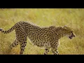 FLYING OVER KENYA (4K UHD) - Soothing Music With Stunning Beautiful Nature Film For Stress Relief