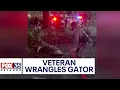 Florida veteran wrangles 10-foot alligator