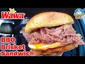 Wawa BBQ Brisket Sandwich Review BEST BBQ theendorsement