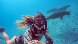 Chasing MERMAIDS 🧜🏻‍♀️(Expedition Drenched S1 Ep 57)