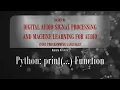 Python Tutorial for Beginners 04g Python print Function - Playback of a Wavefile wav