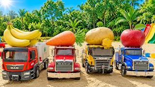 Truck Car Toy Sand Play with Vegetable and Fruit