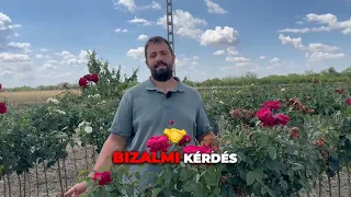 Fedezd fel a prémium növények világát!