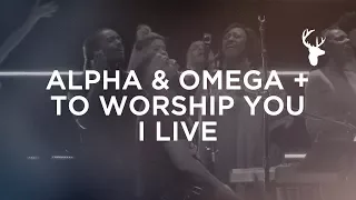 Download Alpha \u0026 Omega + To Worship You I Live - Alton Eugene | Bethel Worship MP3