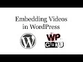 How to embed YouTube s in WordPress