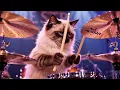 Dire Strays - The Alley Cats Of Swing (Live At Rock & Roar Festival)