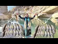 100 fish a day 💣💥Esmat's trip to the river to fish 🎣🌊 