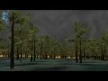 Forest Fire Simulation
