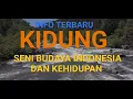 Download Lagu Kidung Jawa Nyawiji ing Rasa Pengobat Lara(Nyalakan CC Subtitle Terjemahan Indonesia)