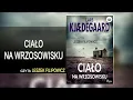 Ciało na wrzosowisku Lektor Leszek Filipowicz Kryminały po Polsku AudioBook PL