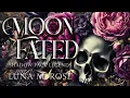 She Wasn t Supposed to Be His Mate But the Bond Chose Her Wolf Shifter book