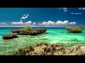 Relaxing Nature Sounds for Study, Yoga and Meditation - HD 1080p 8 Hour Video!
