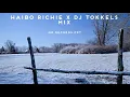 Download Lagu HAIBO RICHIE X DJ TOKKELS MIX [MP RECORDS CPT]