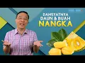 Download Lagu DAHSYATNYA DAUN \u0026 BUAH NANGKA !!