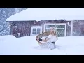 Download Lagu How Nordic people do the laundry