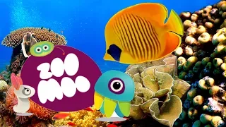 ВЕСЕЛЫЕ ДРУЗЬЯ ОТПРАВЛЯЮТСЯ В ПОДВОДНОЕ ПЛАВАНИЕ ЗУ МУ серия 9 