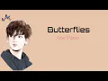 Butterflies - Abe Parker [ Lirik and Cover by Ray Surajaya ] lirik lagu terjemahan