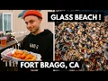 The BEST Pizza in Fort Bragg Glass Beach Noyo Fish Company Fort Bragg Part 2
